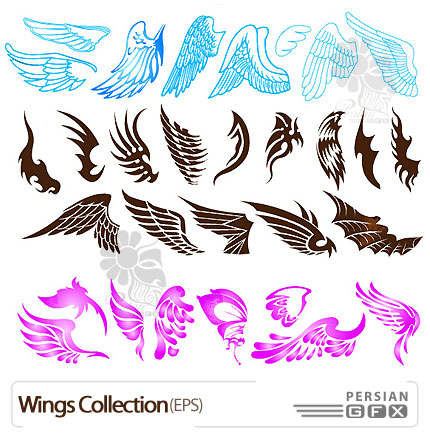 مجموعه ی وکتورهای بال - Wings Collection