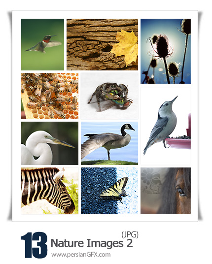 مجموعه تصاویر طبیعت شماره دو - Nature Images 02
