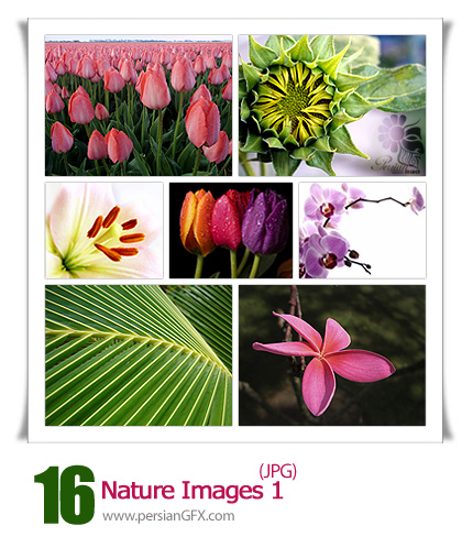 مجموعه تصاویر طبیعت شماره یک - Nature Images 01