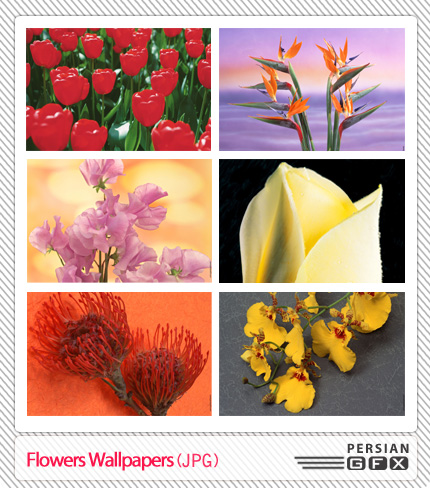 منبع: www.persiangfx.com