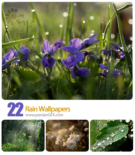 تصاویر والپیپر طبیعت در باران - Rain Wallpapers