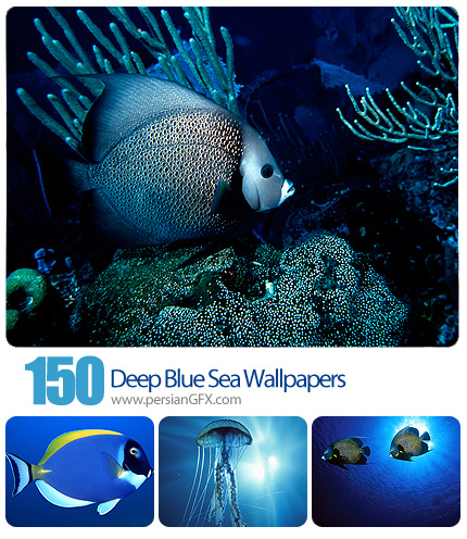 دانلود تصاویر والپیپر دریایی - 150 Deep Blue Sea Wallpapers
