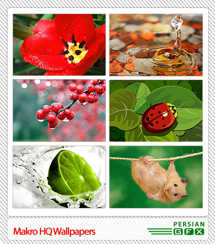 منبع: www.persiangfx.com