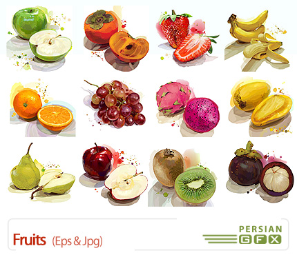 دانلود تصاویر وکتور میوه های نقاشی شده - Fruits Vector 