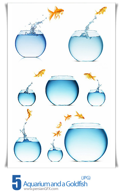 دانلود تصاویر با کیفیت آکواریوم و ماهی های طلایی - Aquarium and a Goldfish