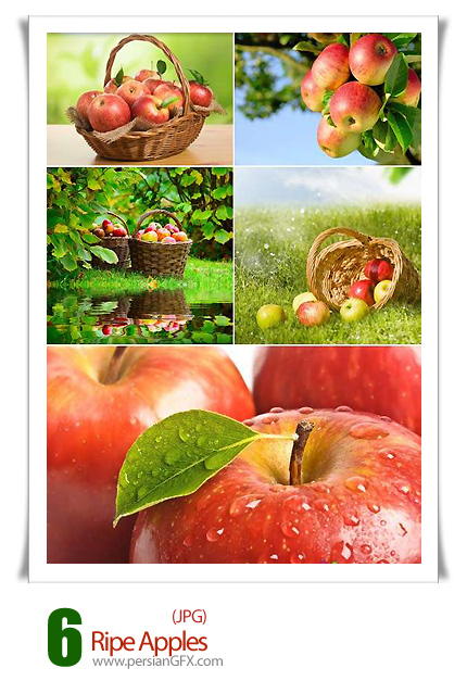 دانلود تصاویر با کیفیت سیب رسیده - Ripe Apples