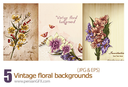 دانلود تصاویر وکتور فریم گلدار - Vintage Floral Backgrounds 