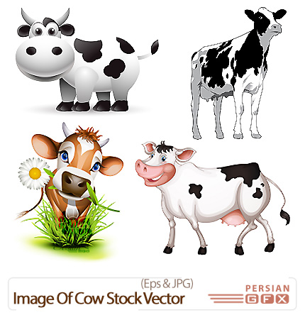 دانلود تصاویر وکتور گاو - Image Of Cow Stock Vector