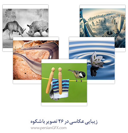 زیبایی عکاسی در 26 تصویر با شکوه