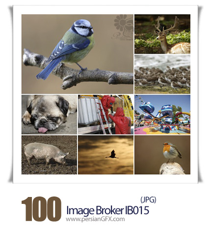 دانلود تصاویر با کیفیت متنوع شهربازی، حیوانات، پرندگان - Image Broker IB015
