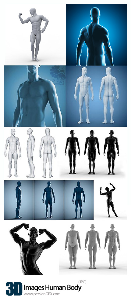 دانلود تصاویر با کیفیت سه بعدی بدن مرد - Images Human Body 3D