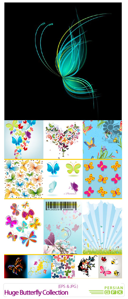 دانلود وکتور مجموعه تصاویر پروانه - Huge Butterfly Collection