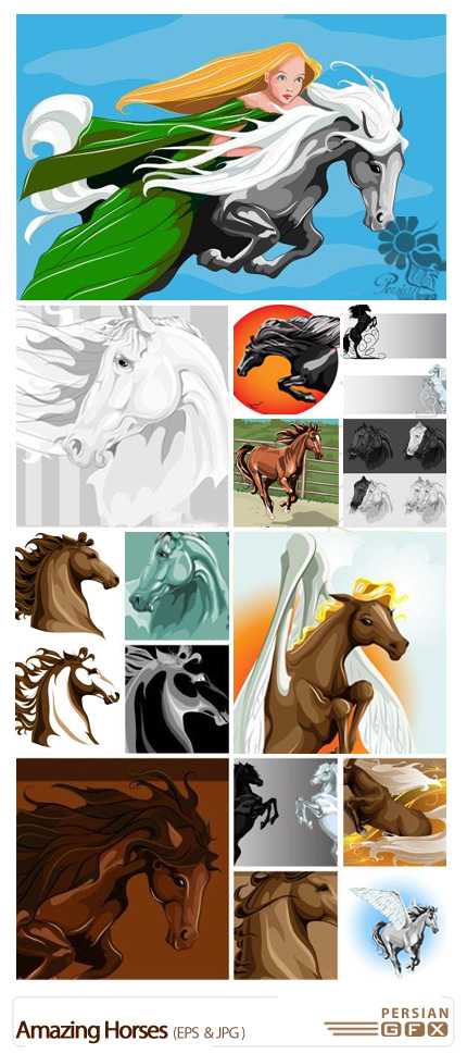 دانلود تصاویر وکتور اسب - Amazing Horses