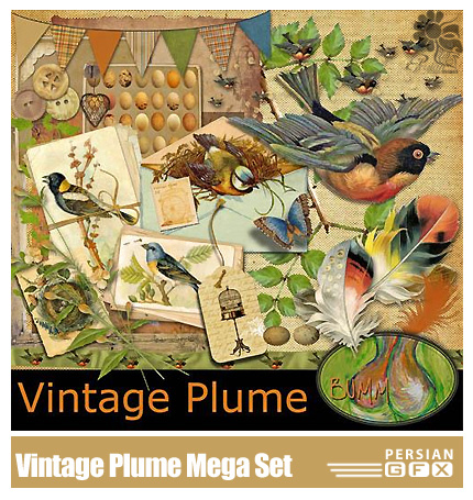 دانلود تصاویر کلیپ آرت عناصر طراحی، پرندگان، تکسچر - Scrap Set Vintage Plume Mega Set