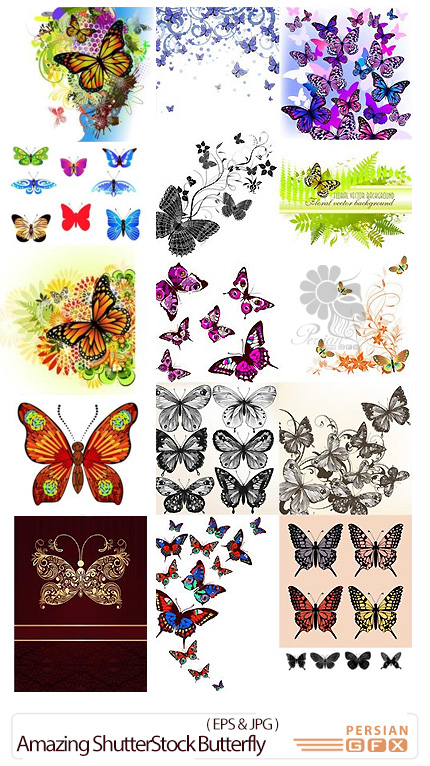 دانلود تصاویر وکتور پروانه های متنوع از شاتر استوک - Amazing ShutterStock Butterfly