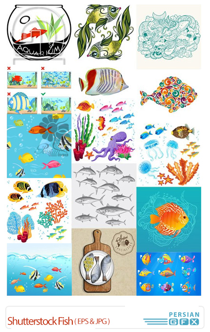 دانلود تصاویر وکتور ماهی، نهنگ، اسب آبی از شاتر استوک - Shutterstock Fish