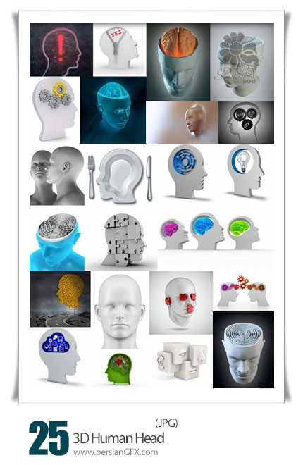 دانلود تصاویر با کیفیت سر و مغز سه بعدی انسان - 3D Human Head
