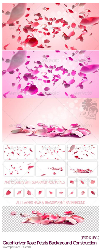 دانلود تصاویر لایه باز پس زمینه های مملو از گلبرگ های گل رز از گرافیک ریور - Graphicriver Rose Petals Background Construction kit