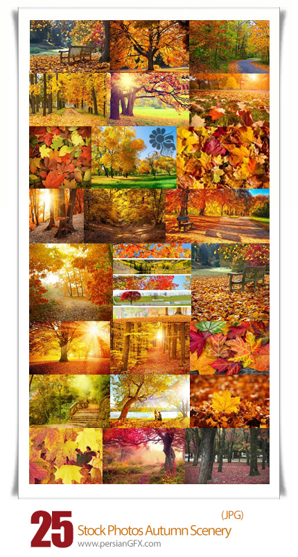 دانلود تصاویر با کیفیت مناظر پاییزی - Stock Photos Autumn scenery