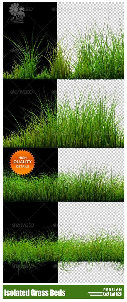 دانلود کلیپ آرت تصاویر چمن از گرافیک ریور - GraphicRiver 6 Isolated Grass Beds
