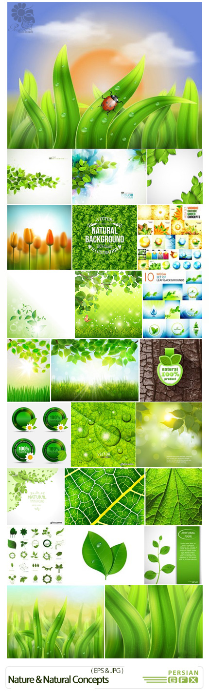 دانلود تصاویر وکتور مفهومی از طبیعت - Stock Vectors Nature And Natural Concepts