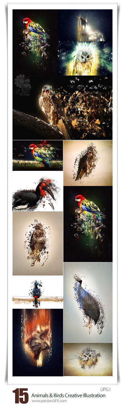 دانلود تصاویر با کیفیت دستکاری شده حیوانات و پرندگان انتزاعی - Animals And Birds Creative Illustration Stock Photo