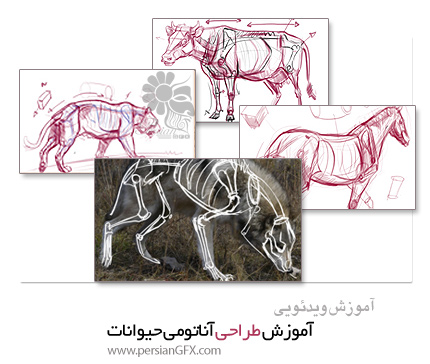 دانلود آموزش طراحی آناتومی حیوانات - New Masters Academy Introduction to Animal Anatomy 1-10