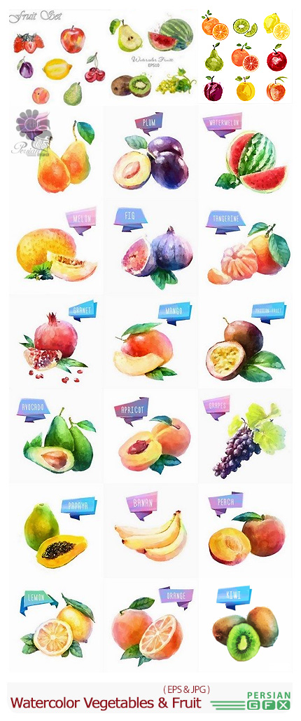 دانلود تصاویر وکتور میوه و سبزیجات آبرنگی - Watercolor Vegetables And Fruit Vector Art 