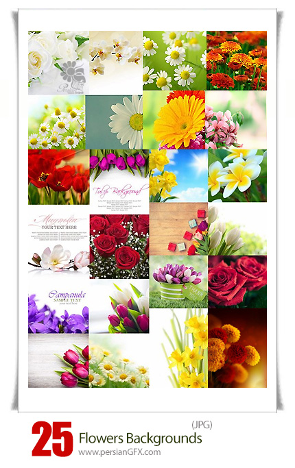 دانلود تصاویر با کیفیت پس زمینه های گلدار - Flowers Backgrounds