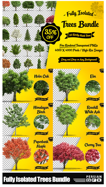 دانلود مجموعه تصاویر کلیپ آرت درختان فصول مختلف - CreativeMarket Fully Isolated Trees Bundle