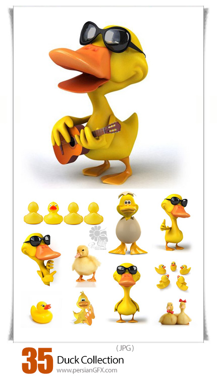 دانلود تصاویر با کیفیت اردک، اردک عروسکی، اردک کارتونی - Duck Collection
