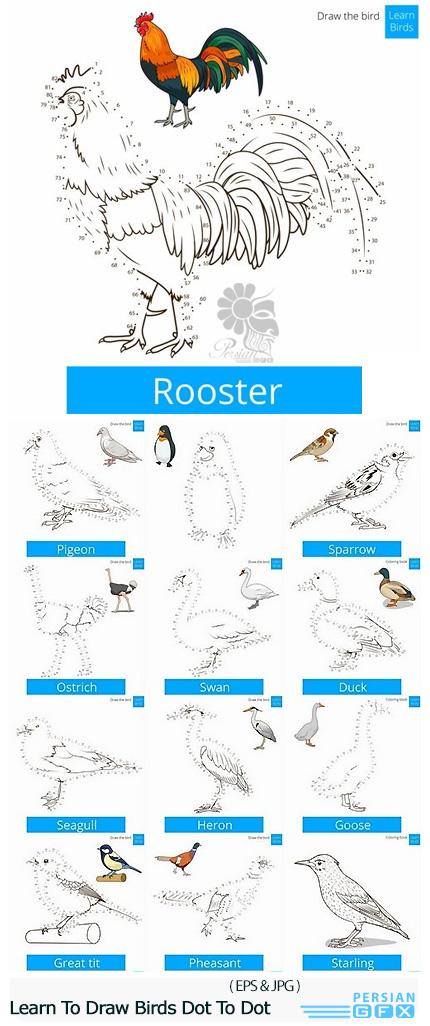 دانلود تصاویر وکتور قالب های آموزشی طراحی و رسم پرندگان با نقاط - Learn To Draw Birds Dot To Dot