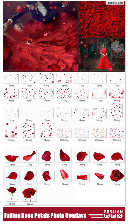 دانلود تصاویر کلیپ آرت عناصر طراحی گل رز قرمز، گلبرگ قرمز - CM Falling Rose Petals Photo Overlays