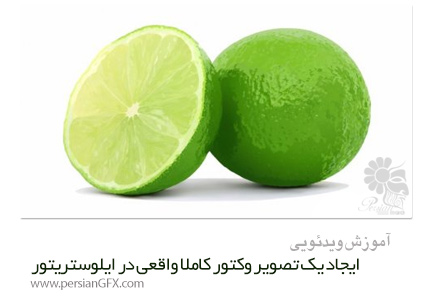 دانلود آموزش ایجاد یک تصویر وکتور کاملا واقعی در ایلوستریتور از Pluralsight - Pluralsight Creating A Realistic Still Life Scene In Illustrator