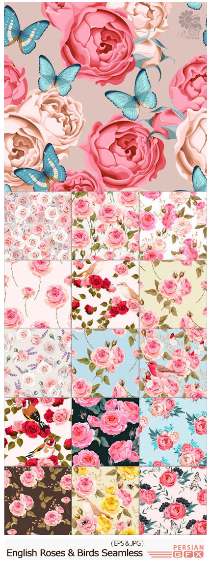 دانلود مجموعه تصاویر وکتور پترن گل رز انگلیسی با پرنده و پروانه - English Roses And Birds Seamless