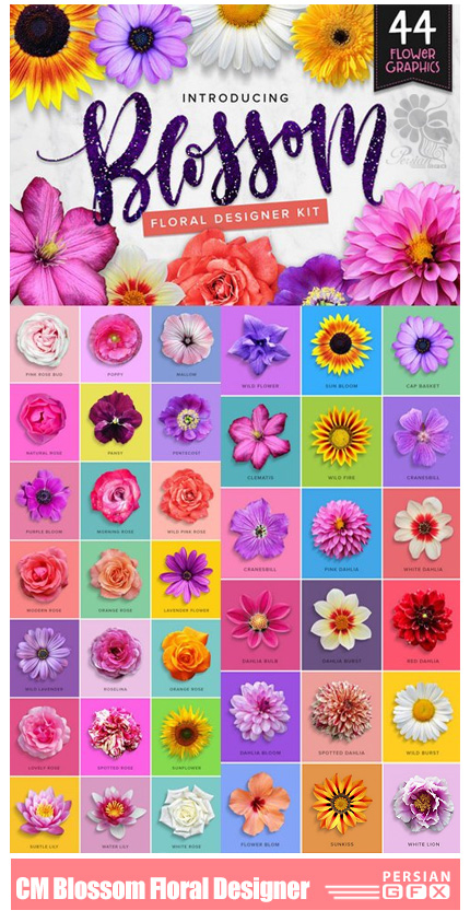 دانلود 44 تصویر کلیپ آرت گل و شکوفه های متنوع - CM Blossom Floral Designer Kit