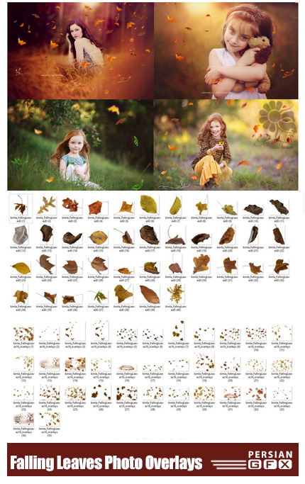 دانلود تصاویر کلیپ آرت ریزش برگ های پاییزی بر روی تصاویر - Falling Leaves Photo Overlays