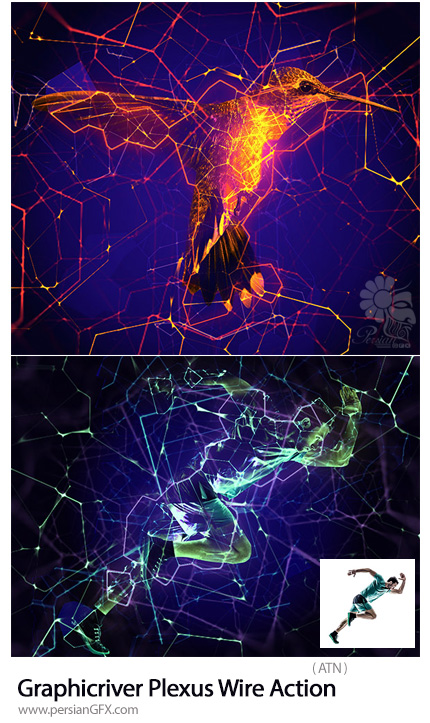 دانلود اکشن فتوشاپ ایجاد افکت سیم کشی نورانی بر روی تصاویر از گرافیک ریور - Graphicriver Plexus Wire Action