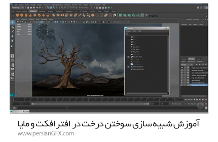 دانلود آموزش شبیه سازی سوختن درخت در افترافکت و مایا - Pluralsight Simulating A Burning Tree In Maya