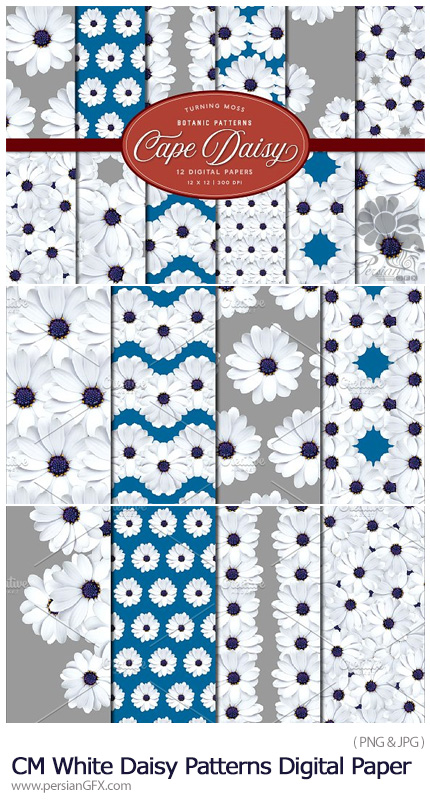 دانلود 12 پترن تزئینی گلدار سفید - CM White Daisy Patterns Digital Paper