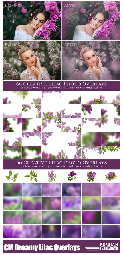 دانلود مجموعه تصاویر کلیپ آرت تزئینی گل های بنفشه - CreativeMarket Dreamy Lilac Photo Overlays