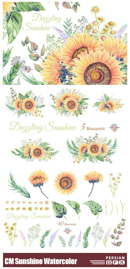 دانلود کلیپ آرت عناصر آبرنگی گل آفتابگردان برای طراحی کارت پستال - CM Dazzling Sunshine Watercolor Clipart
