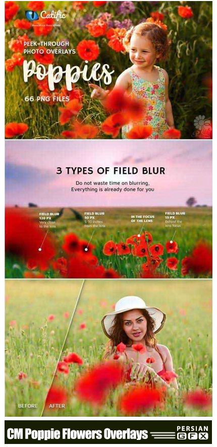 دانلود کلیپ آرت و اکشن فتوشاپ ایجاد افکت گل های قرمز بر روی تصاویر - CreativeMarket 17 Poppie Flowers Photo Overlays
