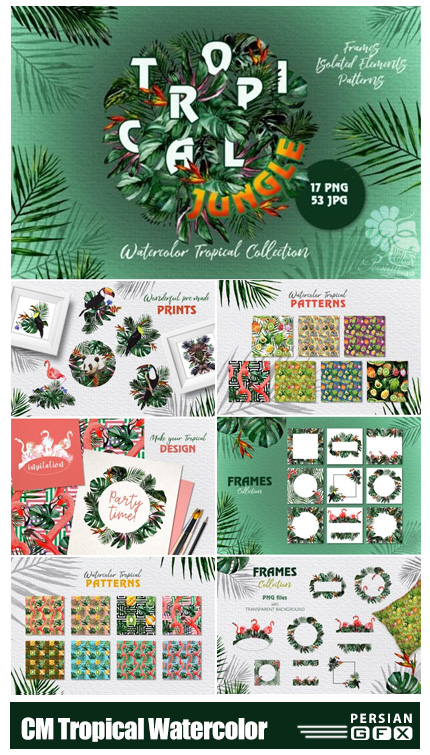 دانلود کلیپ آرت عناصر طراحی آبرنگی تابستانی شامل فریم، پترن، المان های استوایی و ... - CM Tropical Jungle Watercolor