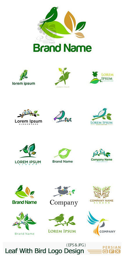 دانلود وکتور آرم و لوگوی پرندگان با شاخ و برگ - Leaf With Bird Logo Design Template