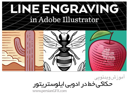 دانلود آموزش کشیدن اشکال با خط در ادوبی ایلوستریتور - Skillshare Line Engraving In Adobe Illustrator