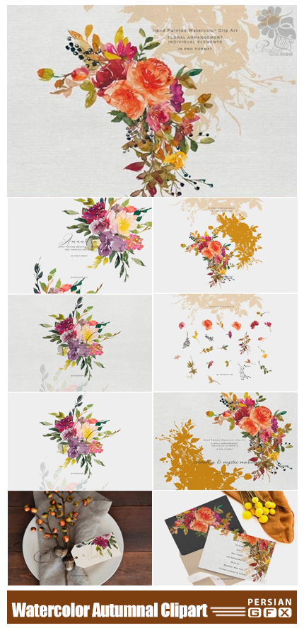 دانلود کلیپ آرت عناصر آبرنگی پاییزی شامل گل و بوته، حلقه گل و بک گراند - Watercolor Autumnal Bouquet And Colors Floral Clipart
