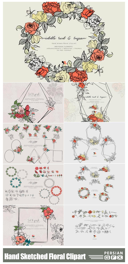 دانلود کلیپ آرت عناصر طراحی گلدار شامل فریم، گل و بوته و پترن - Hand Sketched Floral Clipart Collection