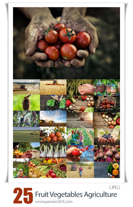 دانلود 25 عکس با کیفیت محصولات کشاورزی شامل میوه و سبزیجات - Fruit Vegetables Agriculture