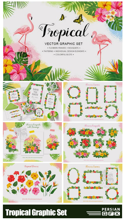 دانلود مجموعه عناصر طراحی تابستانی شامل بت و جقه، فریم و بک گراند - Tropical Vector